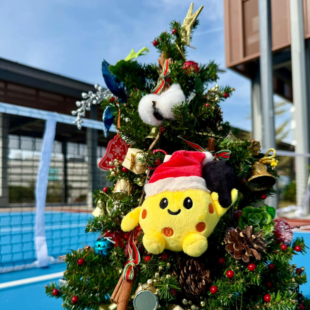 Santa Picklé Plushie Keychain